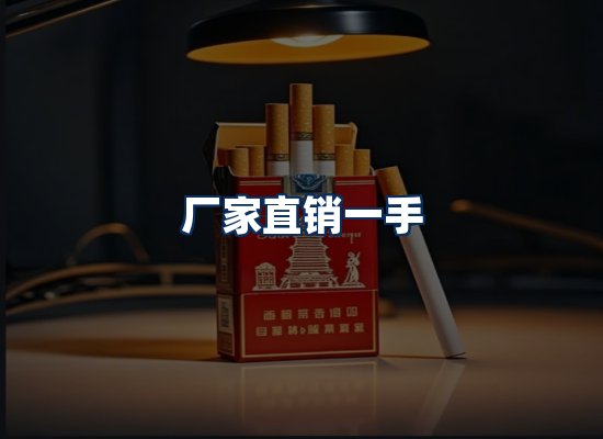 专业团队办公环境